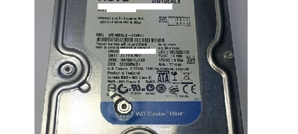 Стучащий WD10EALX-009BA0